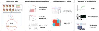 Immune-related gene signature associates with immune landscape and predicts prognosis accurately in patients with Wilms tumour